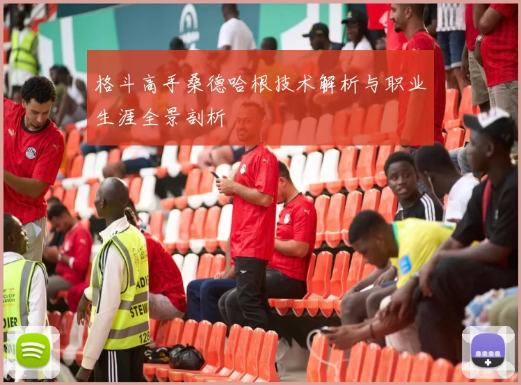 格斗高手桑德哈根技术解析与职业生涯全景剖析