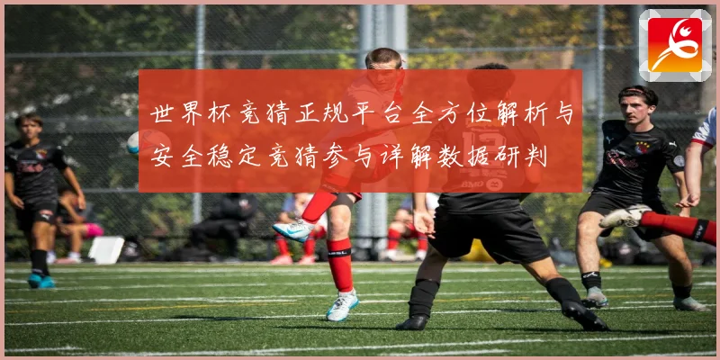 世界杯竞猜正规平台全方位解析与安全稳定竞猜参与详解数据研判