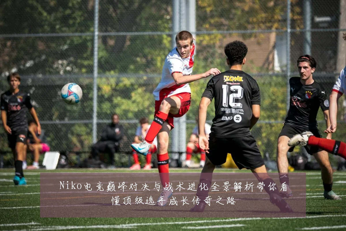 Niko电竞巅峰对决与战术进化全景解析带你看懂顶级选手成长传奇之路